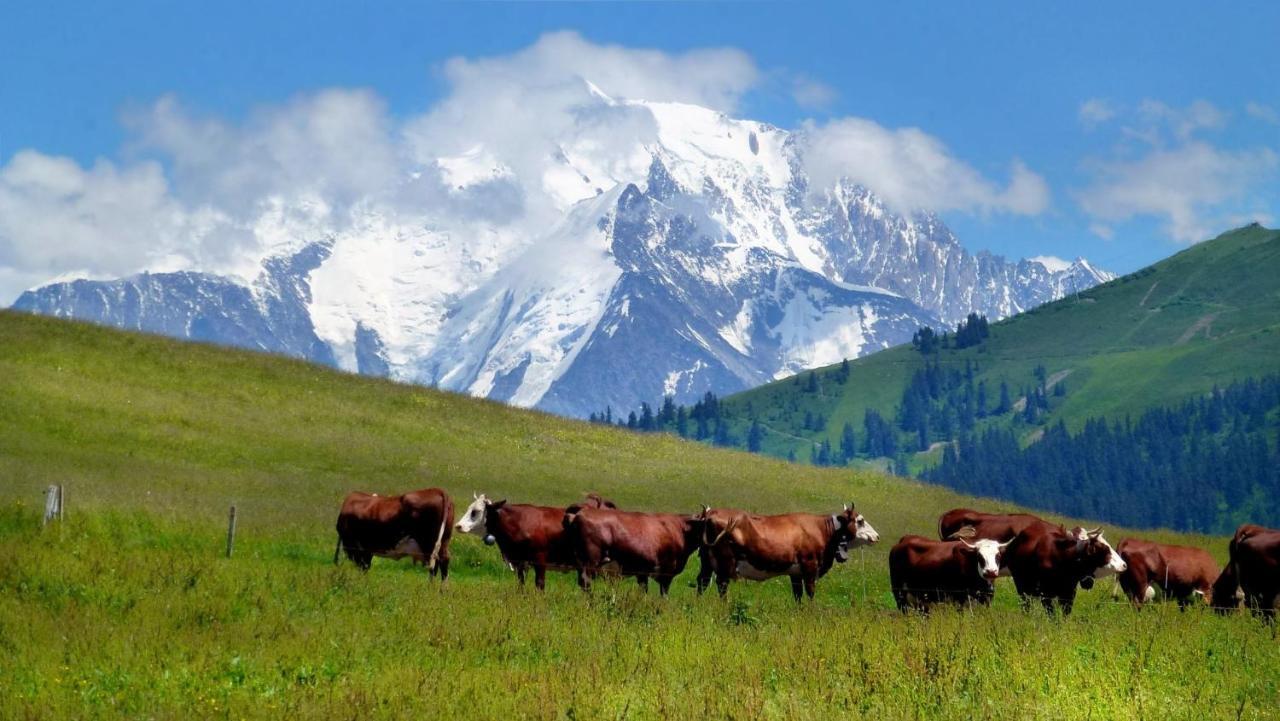 Appartamento Coeur Des Alpes Combloux Esterno foto